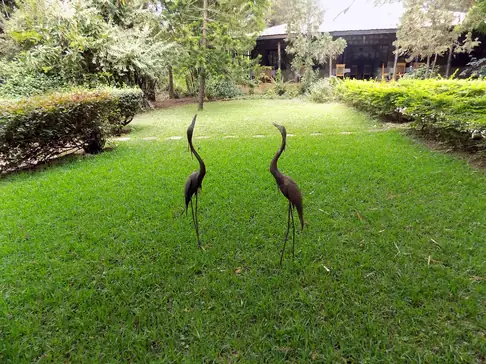 Two metal crane sculptures on the lawn