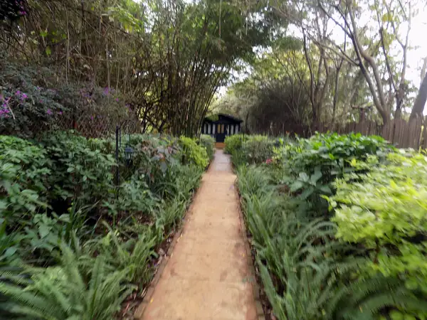 Sandy path between flowering beds