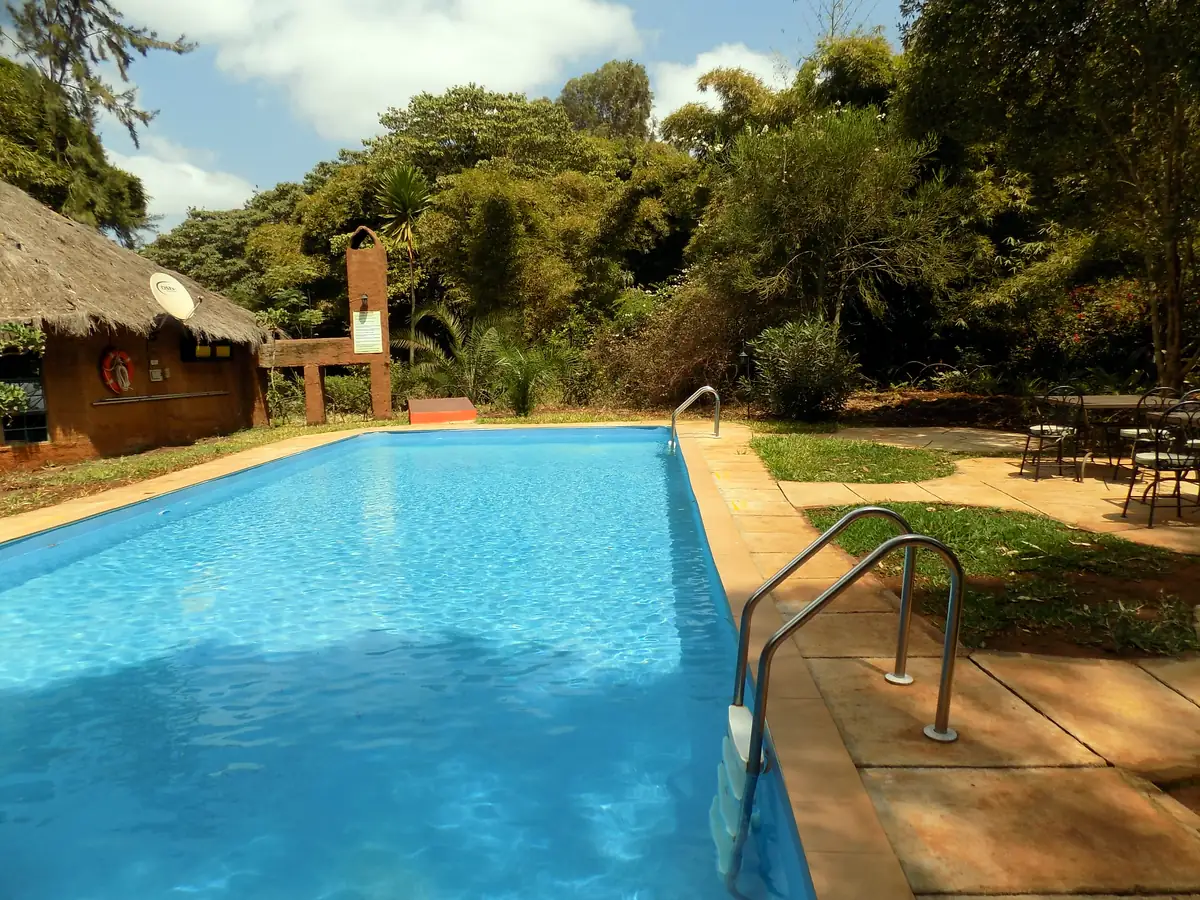 Swimming pool surrounded by lawn and trees